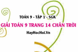 Giải Toán 9 trang 14 tập 1 Chân trời sáng tạo SGK
